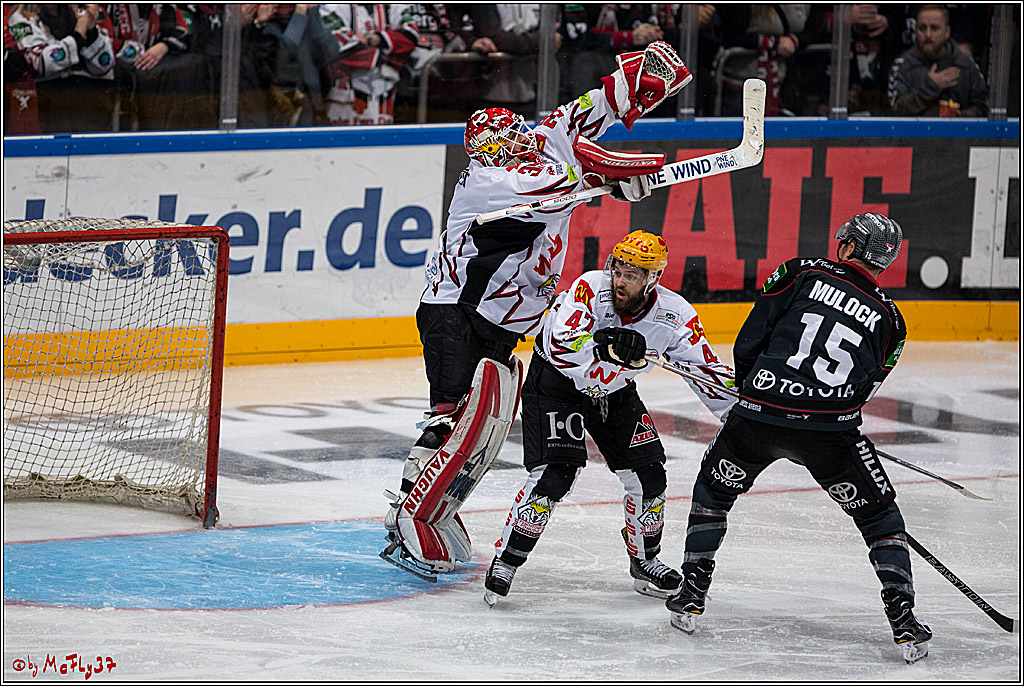DEL, Koelner Haie - Fishtown Pinguins Bremerhaven, 29.01.2017